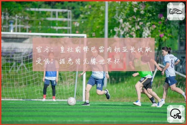 官方：皇社前锋巴雷内切亚长收肌受伤；据悉将无缘世界杯